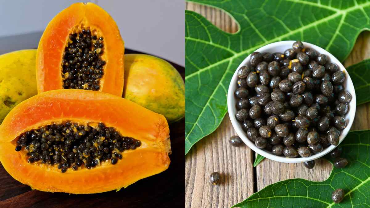 Papaya Fruit and papaya Seeds